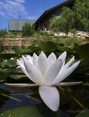 Nature Trails & Wildlife Spotting