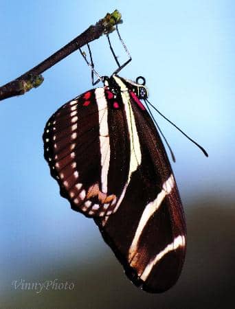 High-Tech & Tangible Exhibits