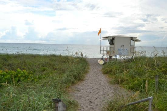 Undeveloped Beach Paradise