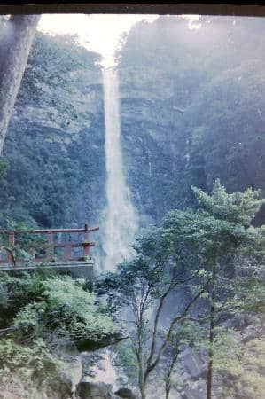 Kumano Kodo Pilgrimage Trail