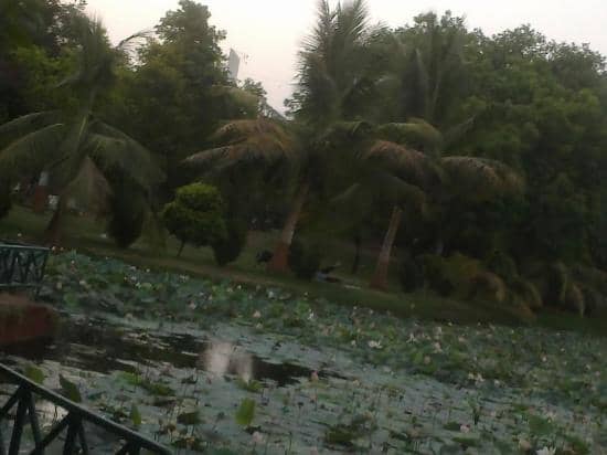 Rustic Brick Walkways