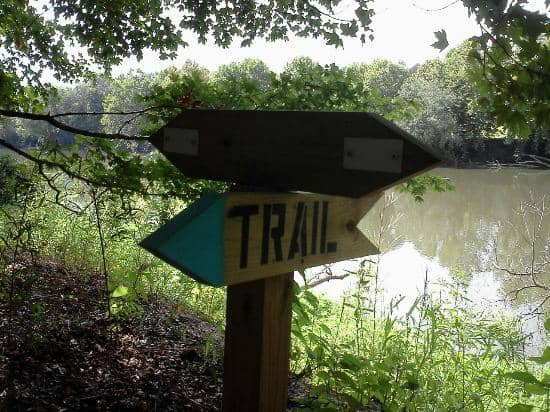 Tower Trail Overlook