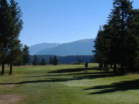 Beginner-Friendly Layout