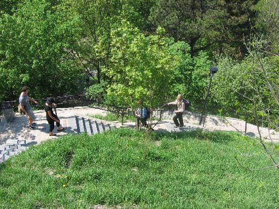 Peaceful Picnic Spots