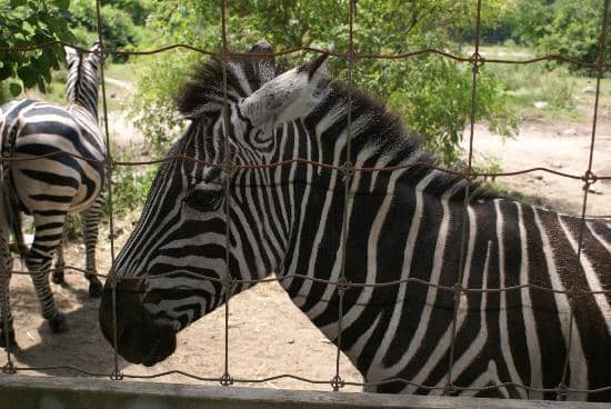 Peaceful Natural Setting