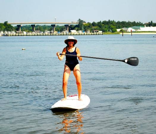 Harbor Safari & Marine Life