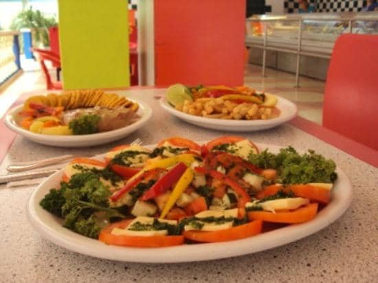 Dolphin Interactions