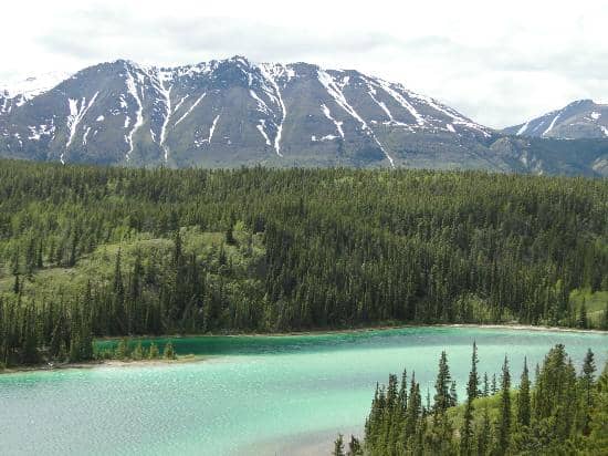 Roadside Photo Opportunity