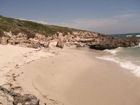 Coastal Boardwalk Views