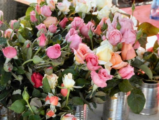 Vibrant Cut Flowers
