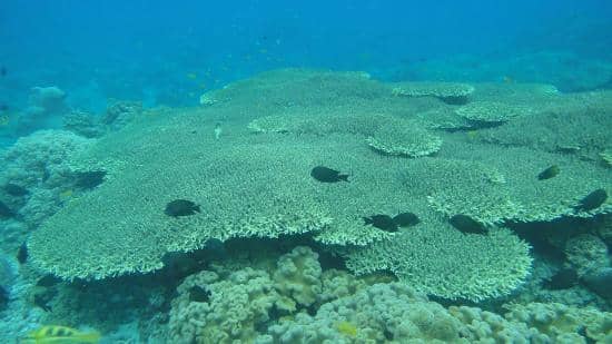 Panoramic Island Views