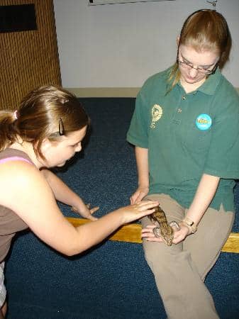 Geodome Exhibit