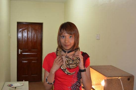 Reptile Encounters