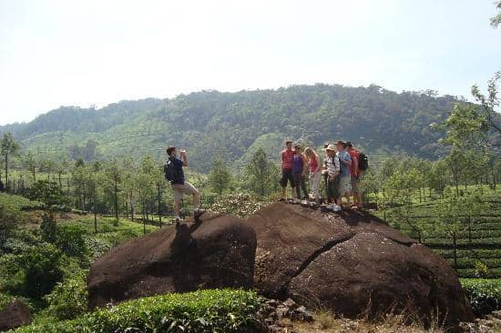 A Kaleidoscope of Flowers