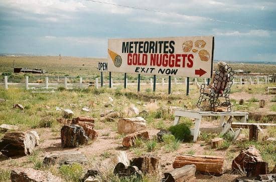 Ostrich Encounters
