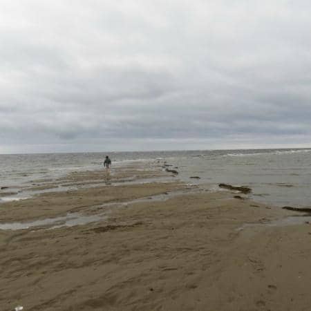 Kouchibouguac River Trail