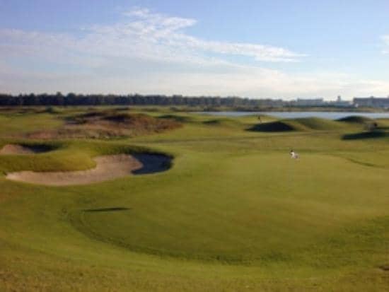 Impeccable Greens