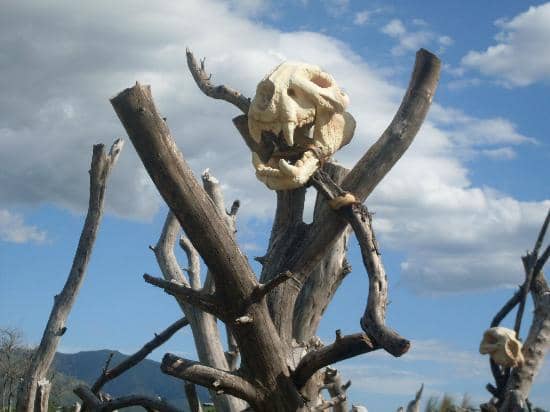 Interactive Historical Address