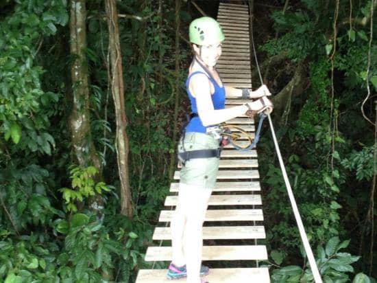 Suspension Bridges & Tarzan Swing