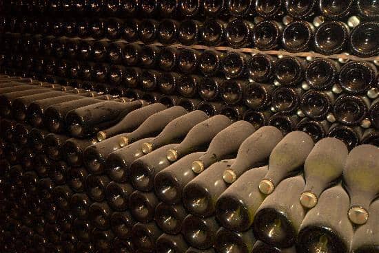 Guided Wine Tasting
