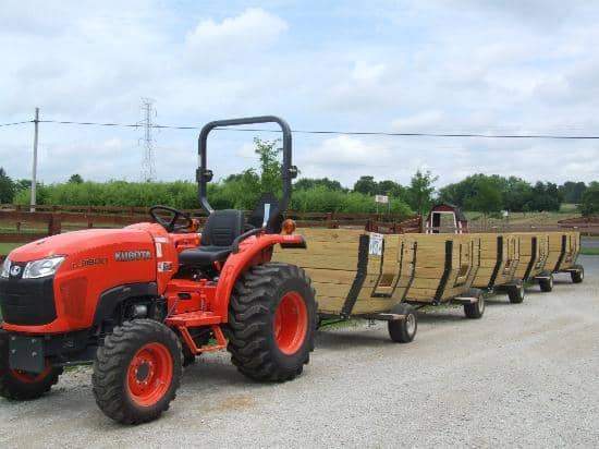 Seasonal Fruit Picking