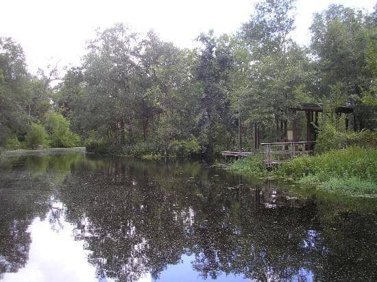 Boardwalk Trail