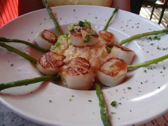 Scallop Chowder & Lobster Roll