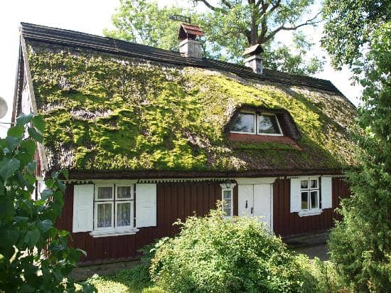 Birdwatching Hotspots