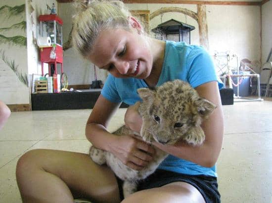 Animal Encounters