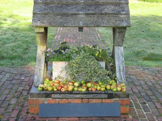 Garden of Reflection