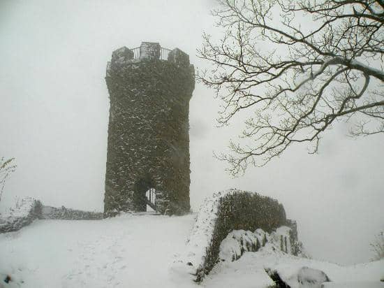 Mirror Lake & Wildlife