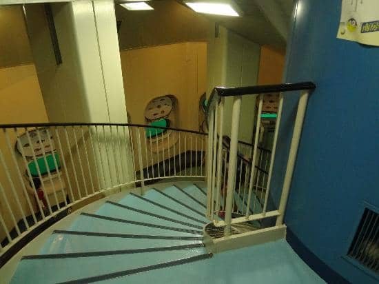 Natural History Exhibits