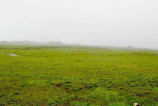 Kaas Lake Serenity