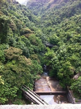 Vertical photo