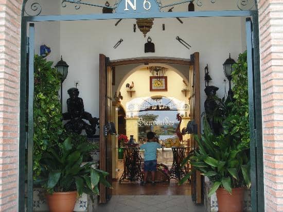 Vibrant Balcony Ambiance