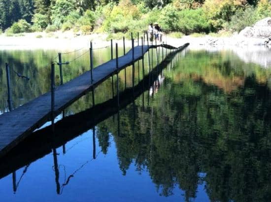 Boy Scout Tree Trail