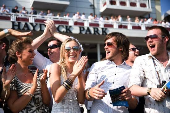 Owner & Trainer Experience