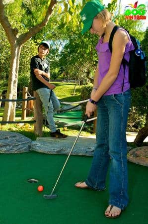 The Three Themed Courses