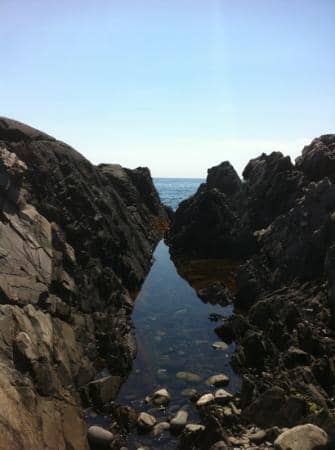 Low Tide Beachcombing