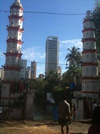 Vertical photo