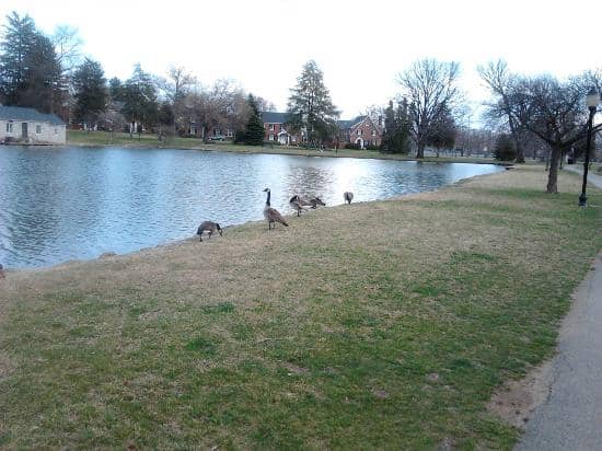 Summer Concert Series