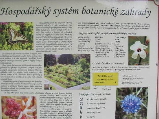 Tranquil Ponds and Water Features