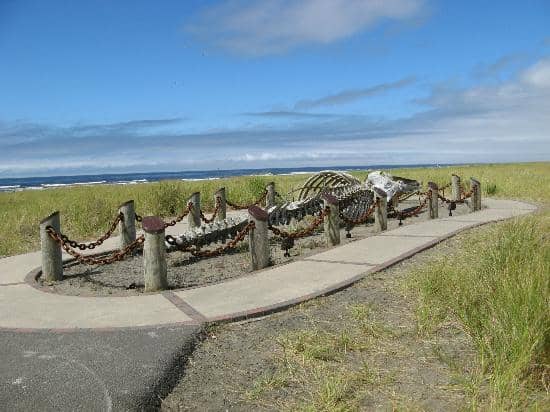 The Long Beach Boardwalk
