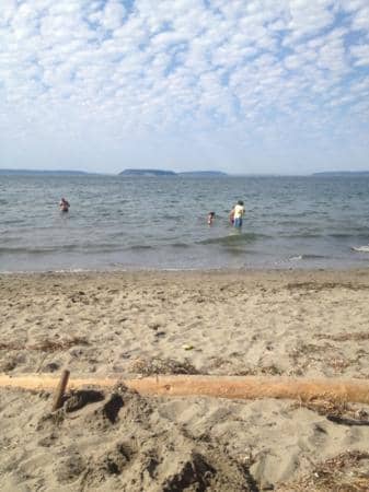 Wooded Trails & Playground
