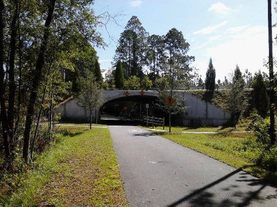 Halsema Road Trailhead