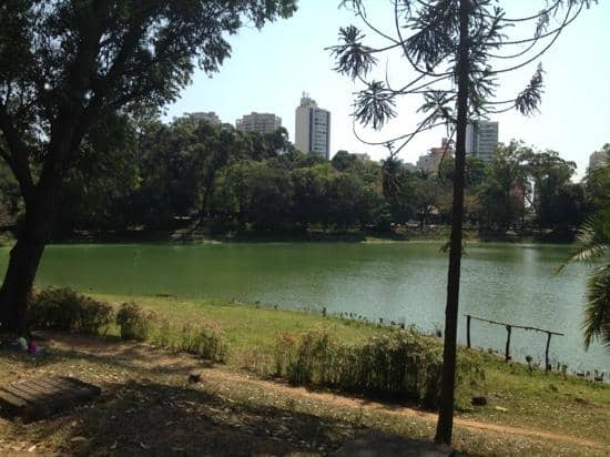 Walking and Running Paths