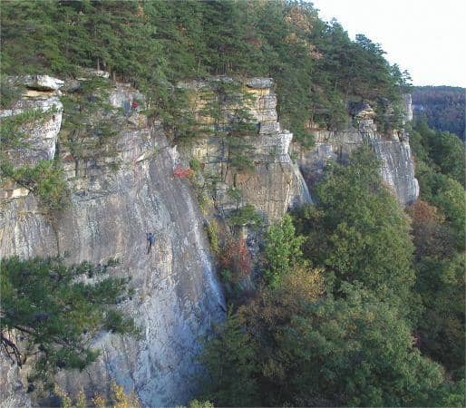 Zipline Canopy Tour