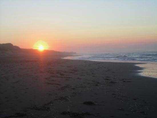 Sandspit Cavendish