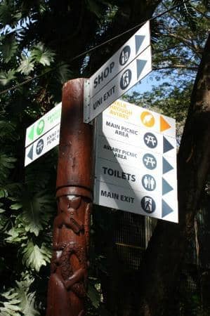 Native Wildlife Spotting