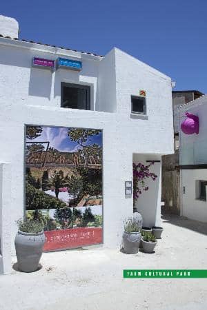 Exhibitions & Galleries